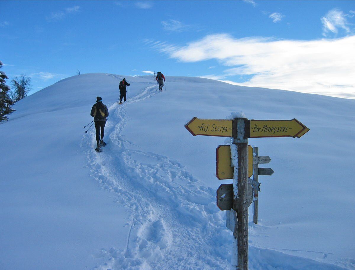 Ciaspolata nelle Pale di San Martino: salita al Col di Luna Ciaspolata nelle Pale di San Martino: salita al Col di Luna desktop picture