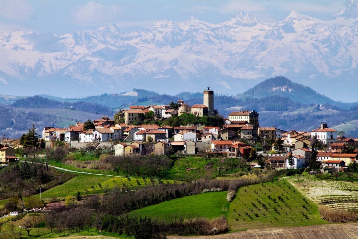 Cerca del Tartufo con Pranzo Tipico nel Monferrato Cerca del Tartufo con Pranzo Tipico nel Monferrato desktop picture