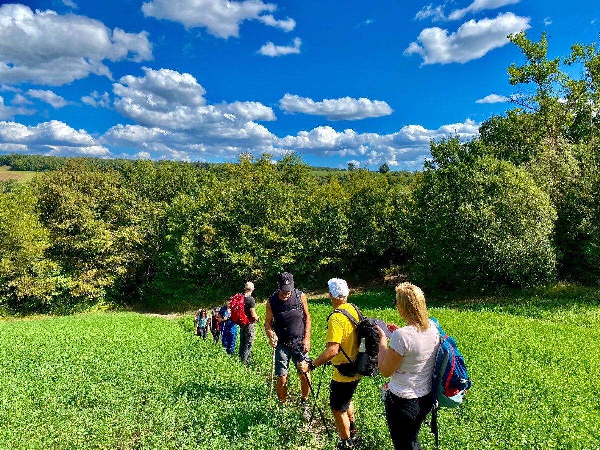 Trekking e degustazione pomeridiana: i silenziosi laghetti della collina Trekking e degustazione pomeridiana: i silenziosi laghetti della collina desktop picture