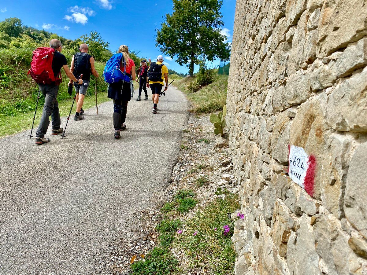 Trekking e degustazione pomeridiana: i silenziosi laghetti della collina Trekking e degustazione pomeridiana: i silenziosi laghetti della collina desktop picture