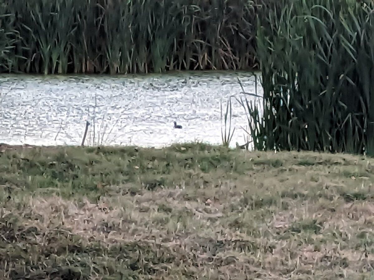 Un'avventura naturale nella Città Eterna: Il Parco della Caffarella Un'avventura naturale nella Città Eterna: Il Parco della Caffarella desktop picture