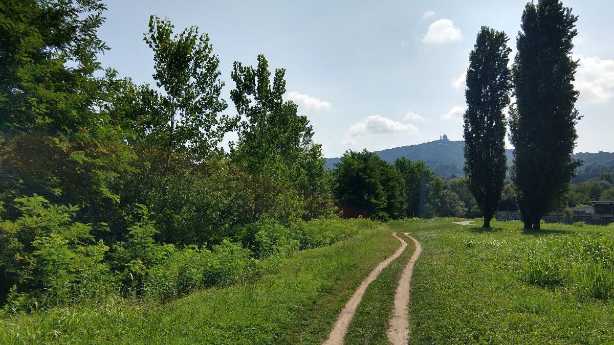 Magia della natura: trekking tra parchi e fiumi a Torino desktop picture