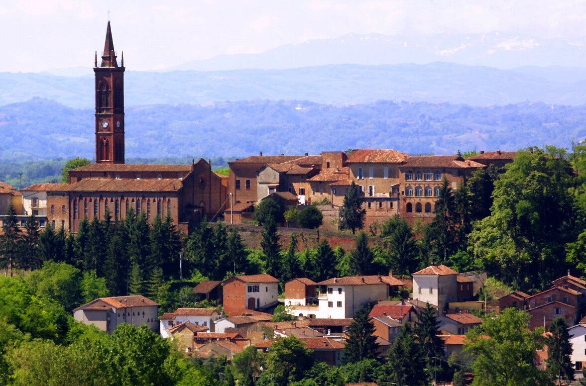 Escursione tra i Vigneti del Basso Monferrato: Barbera, Big Bench e Museo della Moda desktop picture