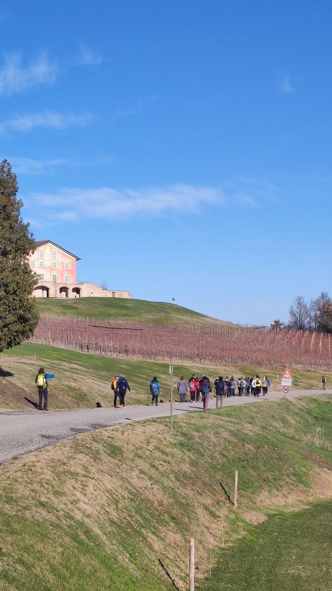 Escursione tra i Vigneti del Basso Monferrato: Barbera, Big Bench e Museo della Moda desktop picture