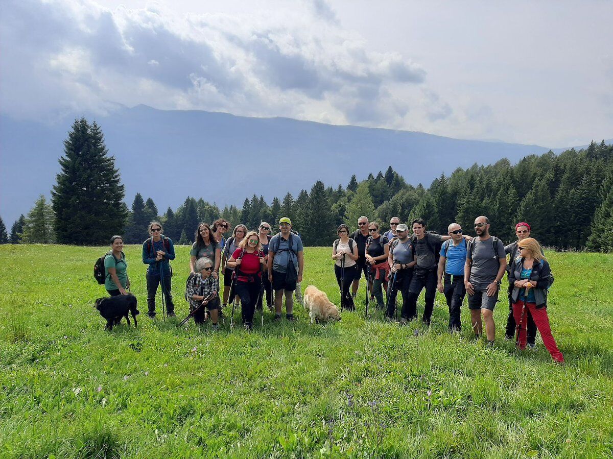 Sentiero del Dint: trekking tra boschi carsici e il Lago di Barcis desktop picture