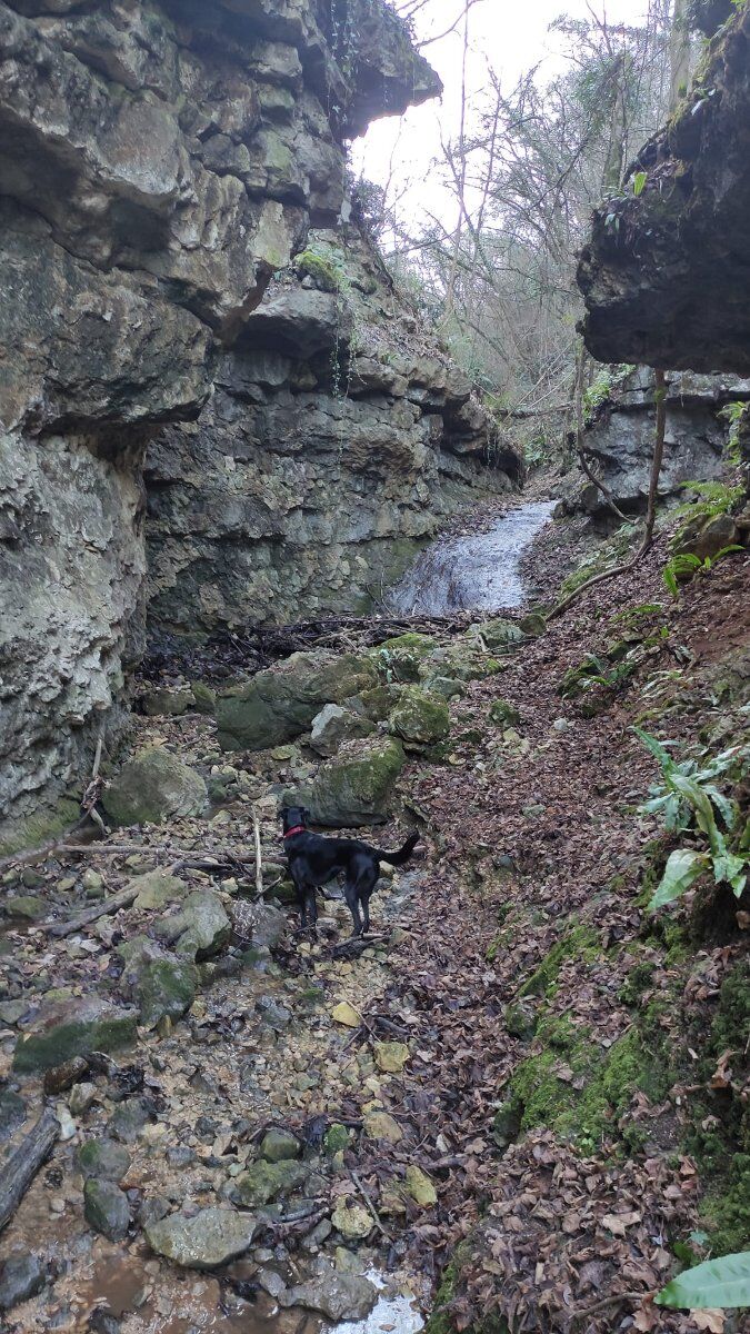 Trekking tra l'Oratorio degli Zanchi e la Forra Nascosta con pranzo in trattoria Trekking tra l'Oratorio degli Zanchi e la Forra Nascosta con pranzo in trattoria desktop picture