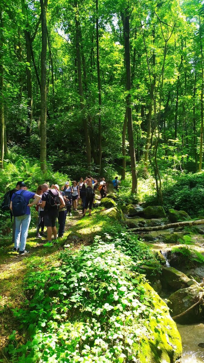 Escursione nei boschi del Lago d'Orta: un viaggio tra storia e natura! desktop picture