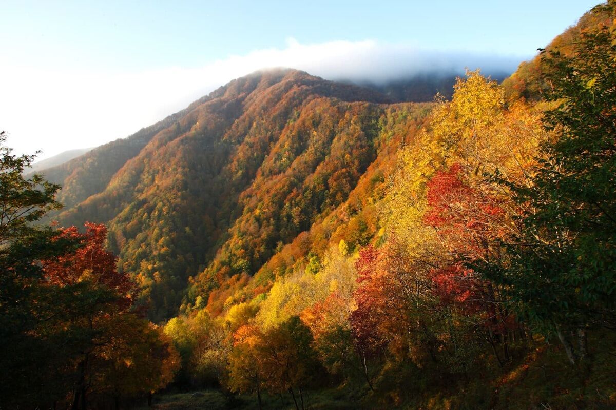 Trekking tra antiche abitazioni in pietra nel Parco Nazionale delle Foreste Casentinesi Trekking tra antiche abitazioni in pietra nel Parco Nazionale delle Foreste Casentinesi desktop picture