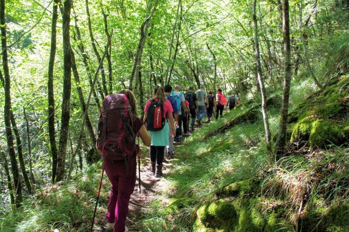 Trekking tra antiche abitazioni in pietra nel Parco Nazionale delle Foreste Casentinesi desktop picture