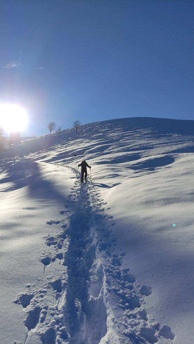 Trekking panoramico tra gli Asoloni, Col de la Beretta e Malga Fratte Trekking panoramico tra gli Asoloni, Col de la Beretta e Malga Fratte desktop picture