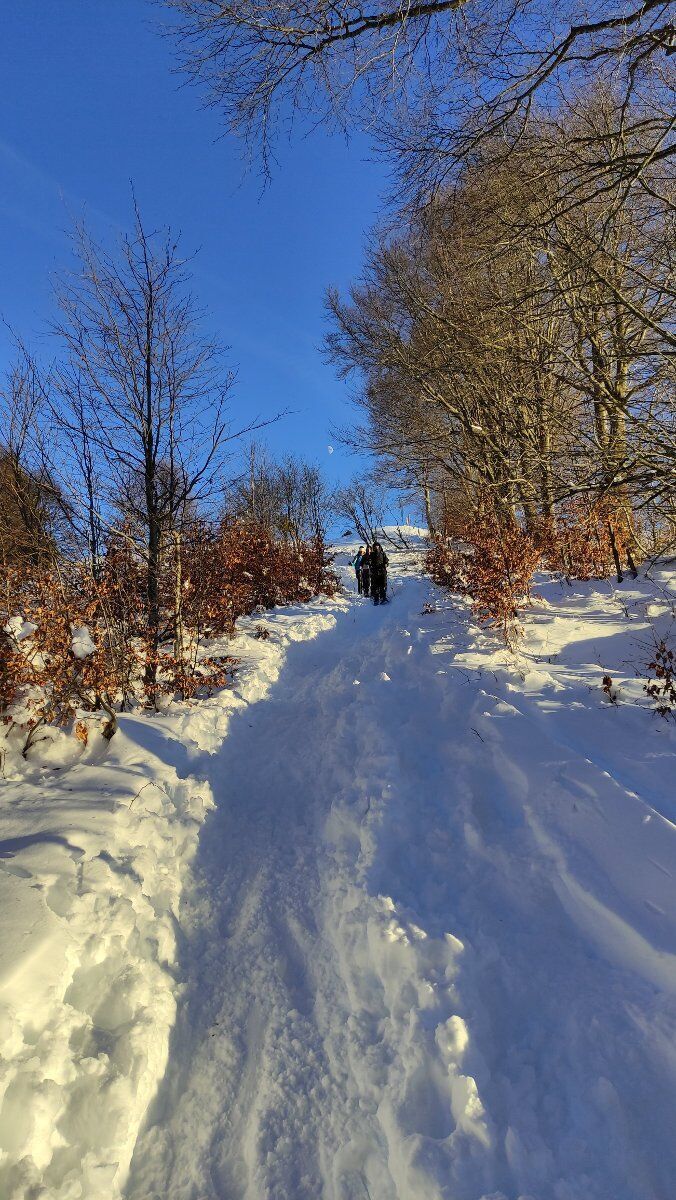 Trekking panoramico tra gli Asoloni, Col de la Beretta e Malga Fratte Trekking panoramico tra gli Asoloni, Col de la Beretta e Malga Fratte desktop picture
