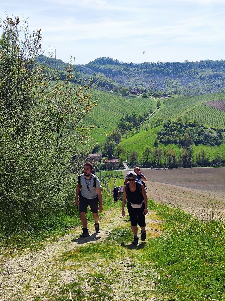 Escursione lungo l'Antica Via Cassia: storia, natura e bellezze medievali Escursione lungo l'Antica Via Cassia: storia, natura e bellezze medievali desktop picture