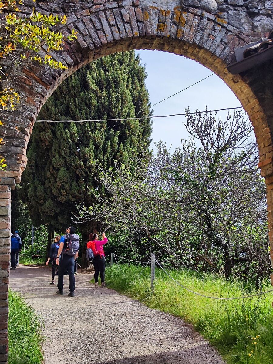 Escursione lungo l'Antica Via Cassia: storia, natura e bellezze medievali Escursione lungo l'Antica Via Cassia: storia, natura e bellezze medievali desktop picture
