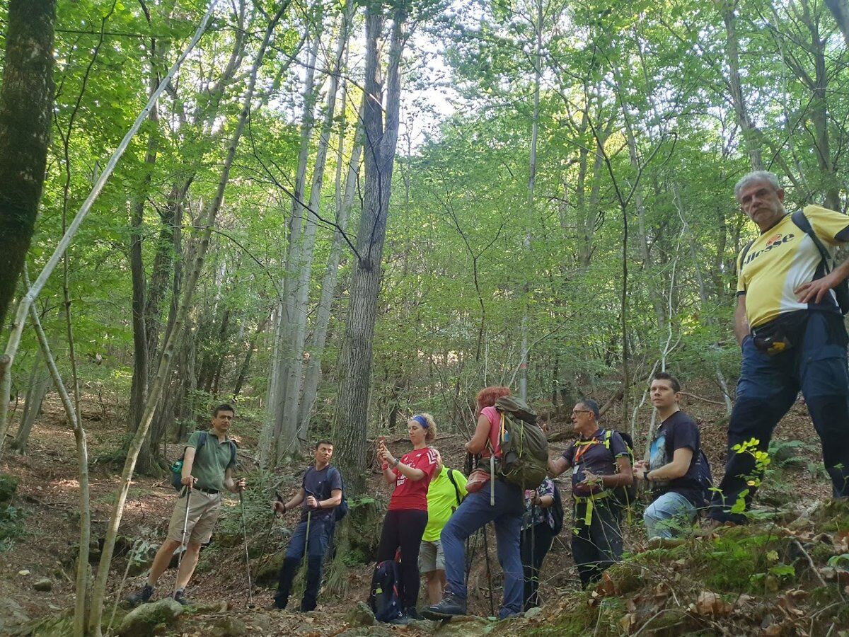 Escursione nel cuore dell'Appennino Modenese: i sassi di Roccamalatina Escursione nel cuore dell'Appennino Modenese: i sassi di Roccamalatina desktop picture