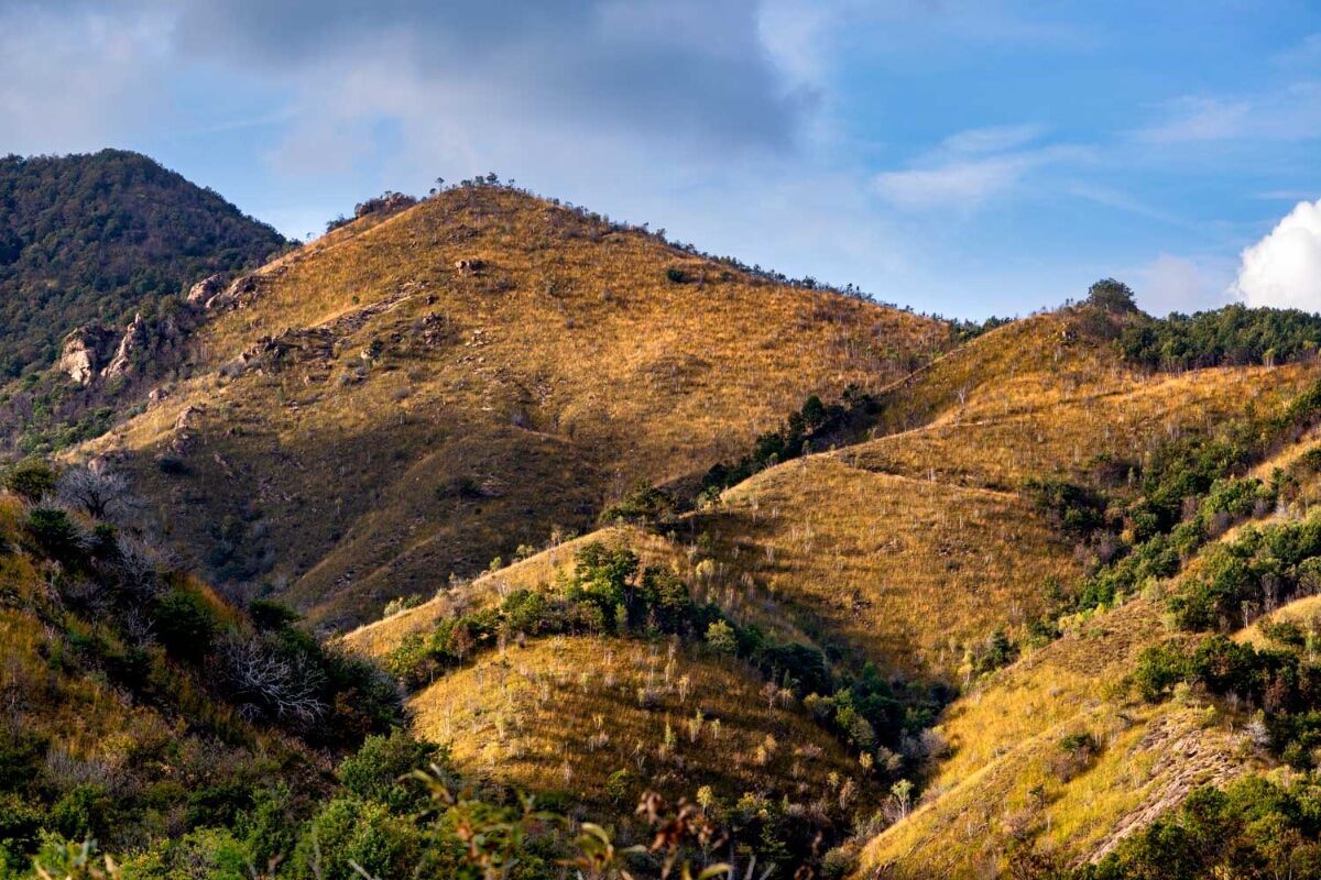 Esplorando la Valganna: avventura nel cuore selvaggio del varesotto Esplorando la Valganna: avventura nel cuore selvaggio del varesotto desktop picture