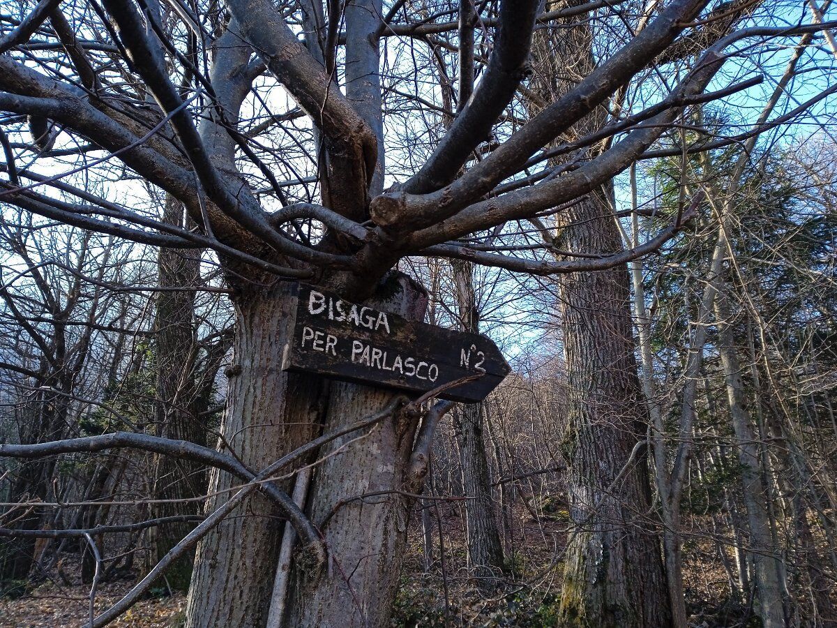 Passeggiata tra storia e natura alla scoperta di Parlasco: la perla della Valsassina Passeggiata tra storia e natura alla scoperta di Parlasco: la perla della Valsassina desktop picture
