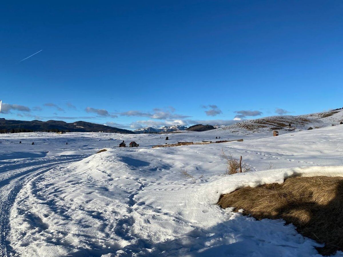 Escursione panoramica nell'Altopiano dei Sette Comuni: dalla Val Lastaro al Col d'Astiago Escursione panoramica nell'Altopiano dei Sette Comuni: dalla Val Lastaro al Col d'Astiago desktop picture