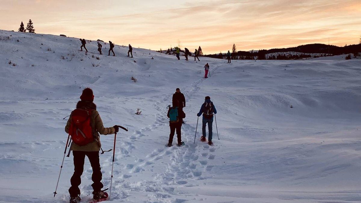 Escursione panoramica nell'Altopiano dei Sette Comuni: dalla Val Lastaro al Col d'Astiago Escursione panoramica nell'Altopiano dei Sette Comuni: dalla Val Lastaro al Col d'Astiago desktop picture