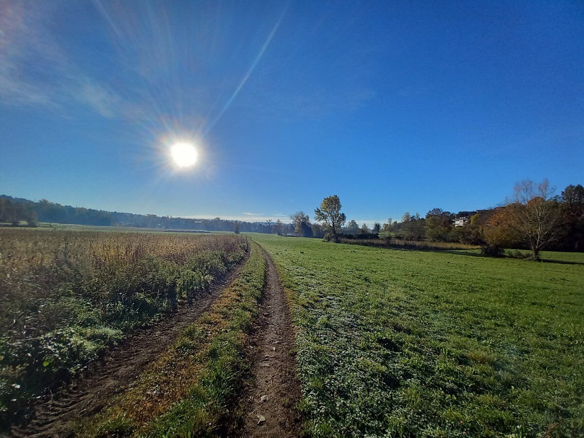 Passeggiata tra storia e natura lungo il Sentiero dei Contadini Passeggiata tra storia e natura lungo il Sentiero dei Contadini desktop picture