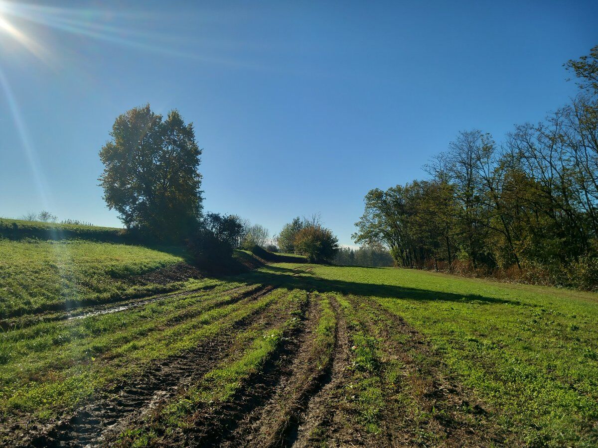 Passeggiata tra storia e natura lungo il Sentiero dei Contadini Passeggiata tra storia e natura lungo il Sentiero dei Contadini desktop picture