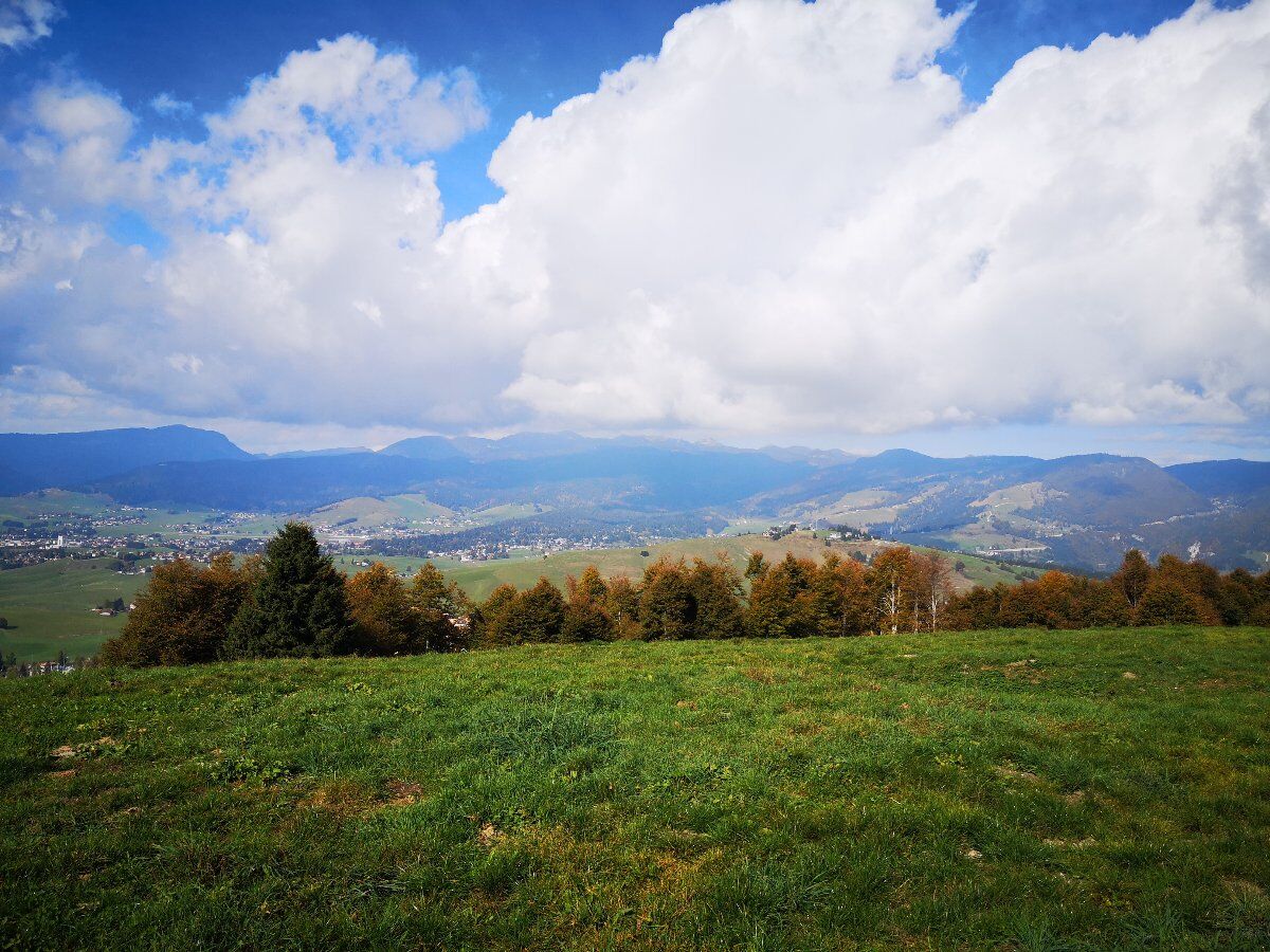 Escursione a Cima Ekar e tra i monti Col del Rosso e Valbella Escursione a Cima Ekar e tra i monti Col del Rosso e Valbella desktop picture