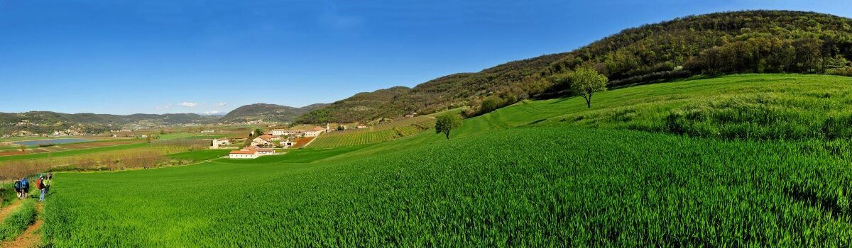 Colli Berici: la natura e la storia di San Germano dei Berici in Val Liona desktop picture