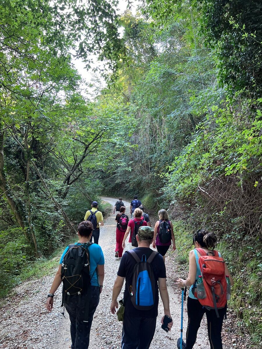 Escursione sui Colli Asolani con pranzo in Osteria: da Coste di Maser ad Asolo Escursione sui Colli Asolani con pranzo in Osteria: da Coste di Maser ad Asolo desktop picture