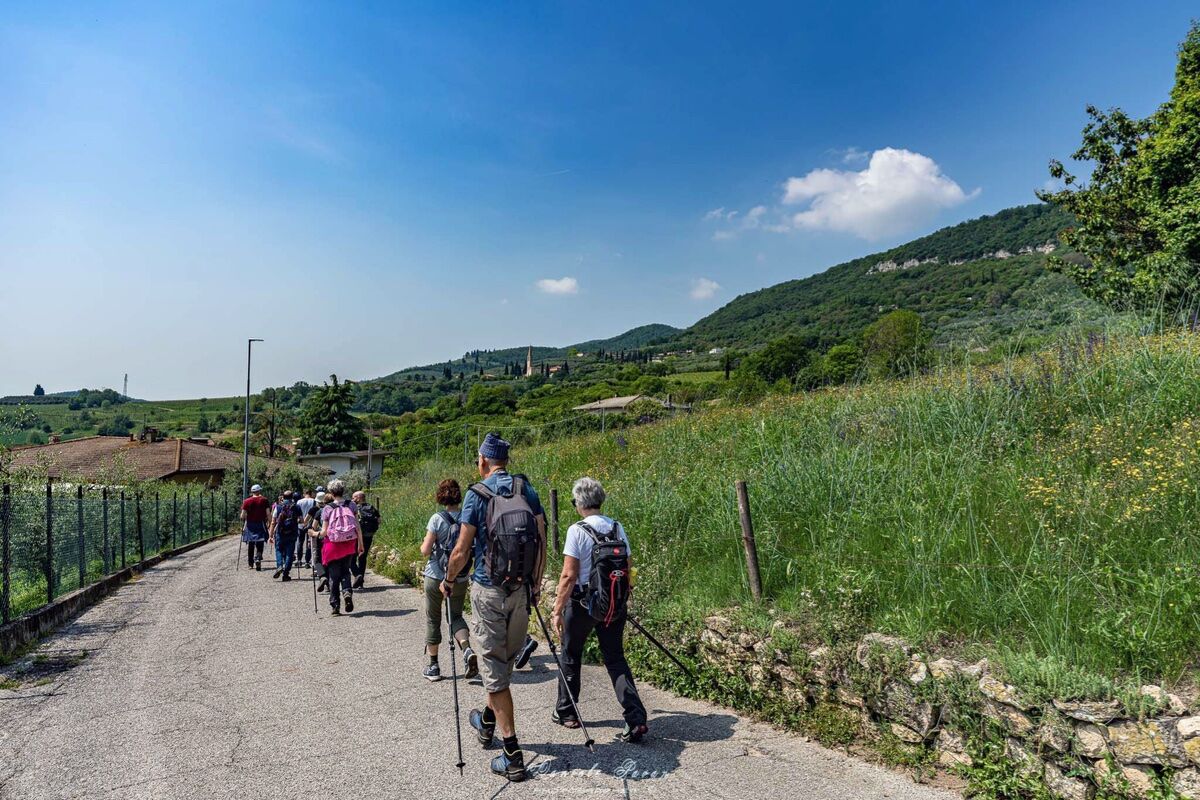 Trekking sui Colli Berici: alla scoperta dei segreti di Costozza desktop picture