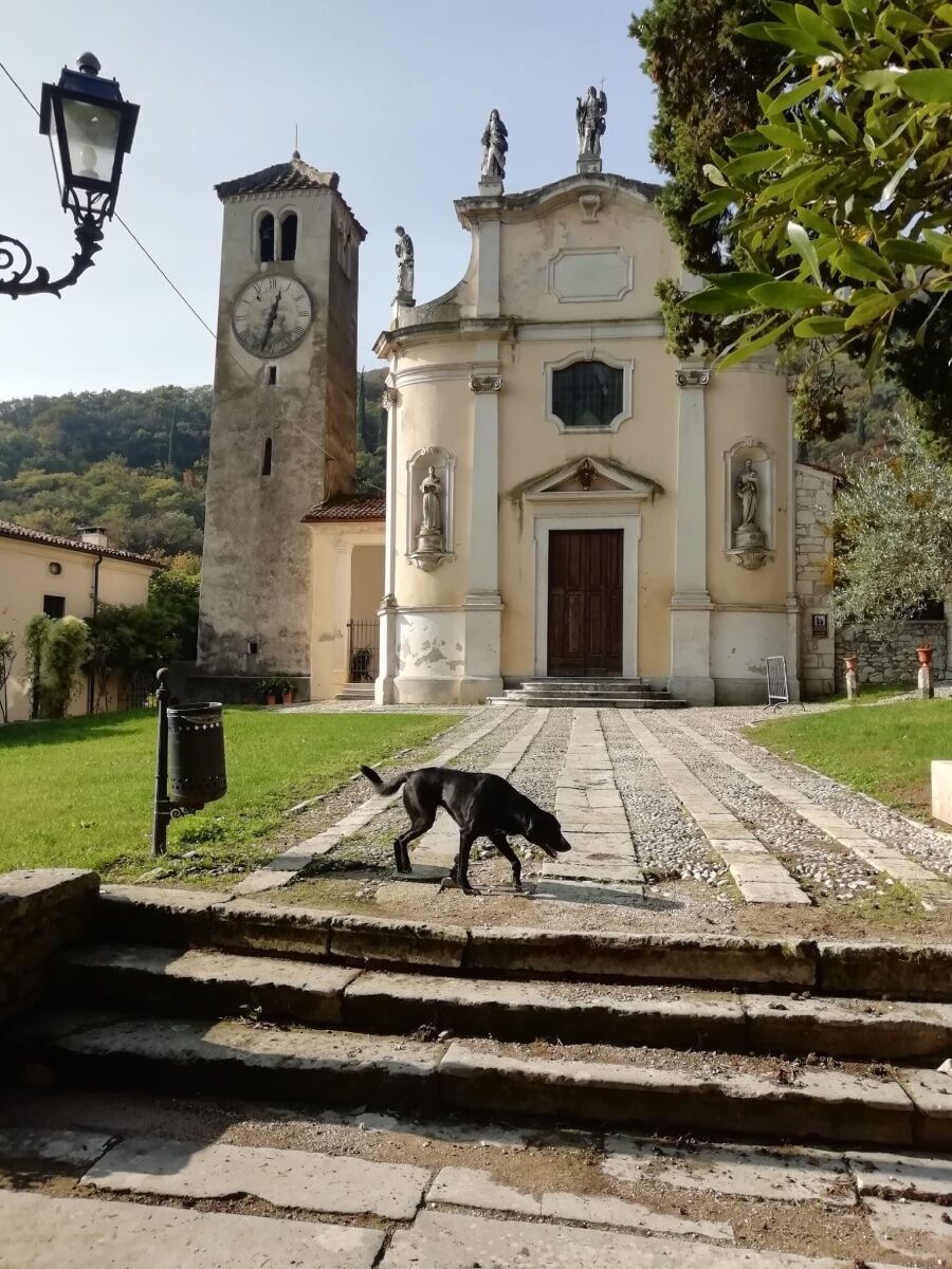 Trekking sui Colli Berici: alla scoperta dei segreti di Costozza desktop picture