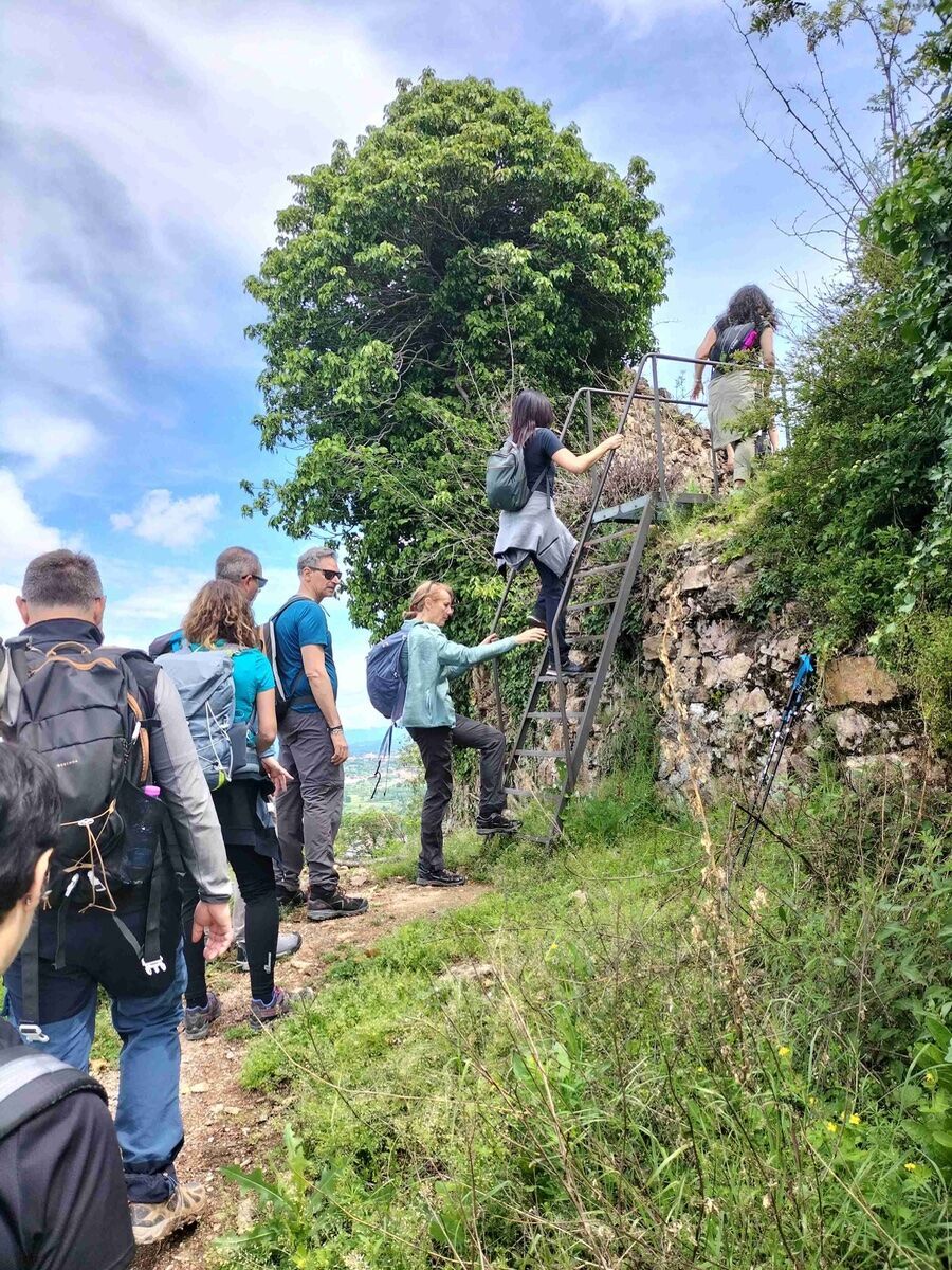 Trekking panoramico tra le vigne di Gattinara Trekking panoramico tra le vigne di Gattinara desktop picture