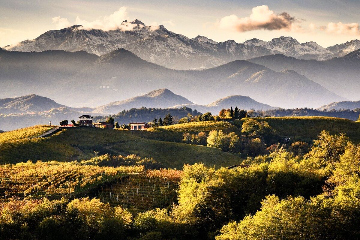 Trekking panoramico tra le vigne di Gattinara desktop picture