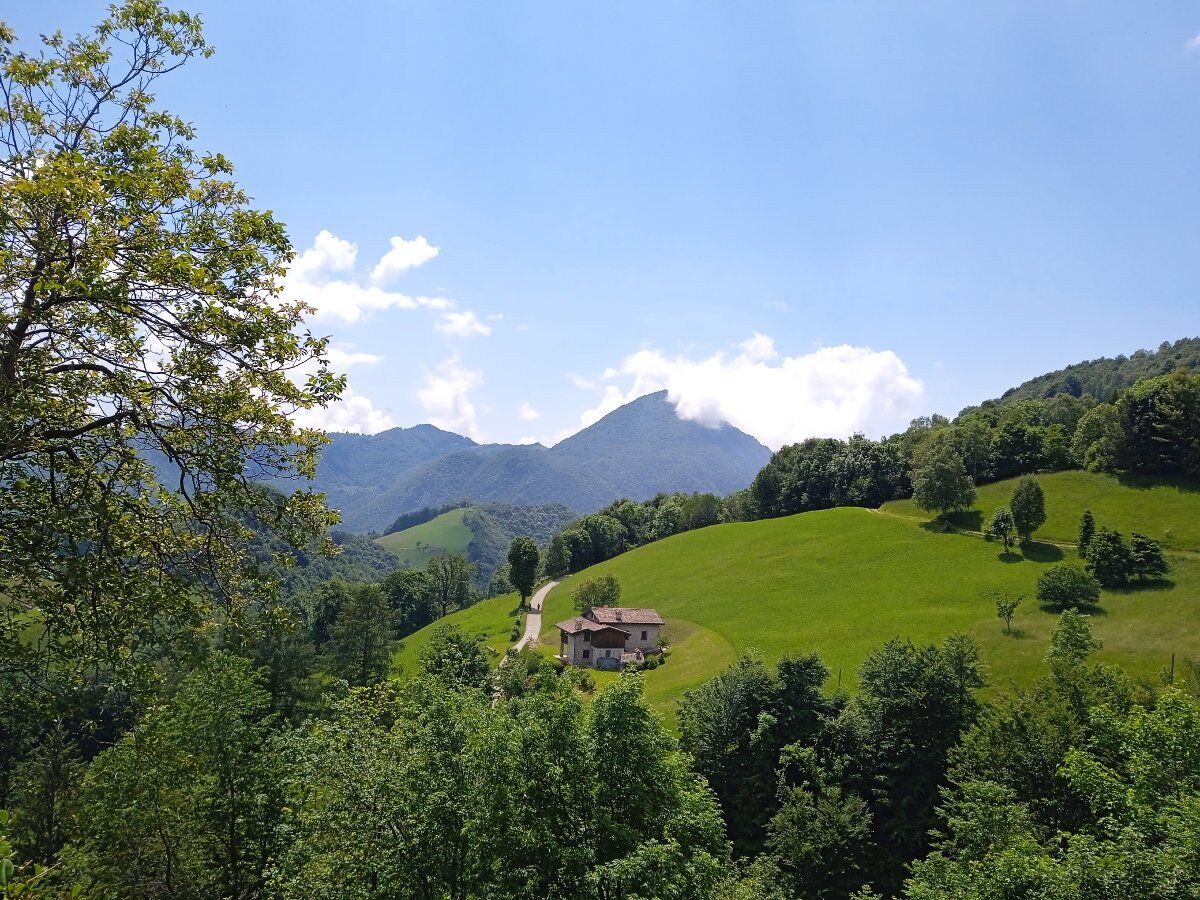 Trekking al Pialeral tra prati, torrenti e le pendici della Grigna Trekking al Pialeral tra prati, torrenti e le pendici della Grigna desktop picture