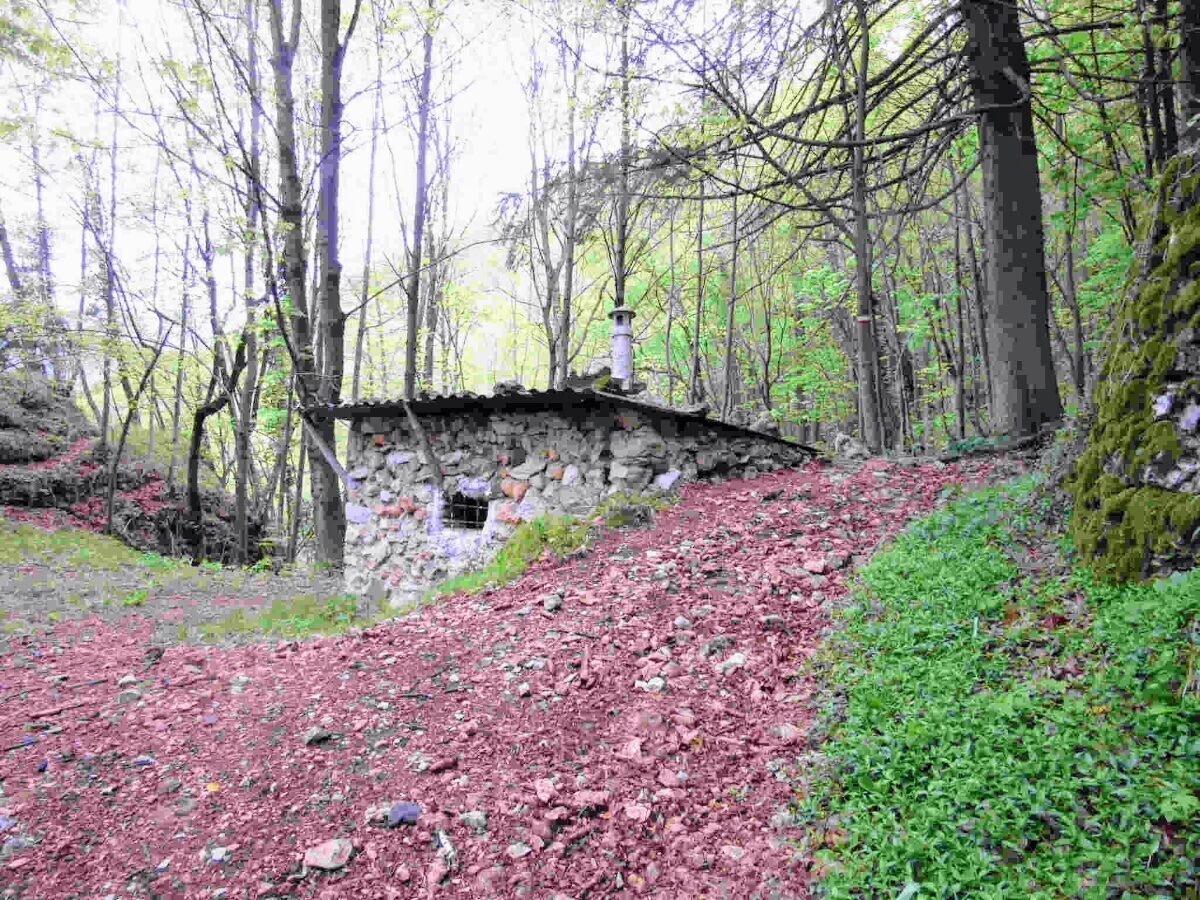 Escursione tra natura e memoria sul Monte Cimone e su Cima Neutra desktop picture