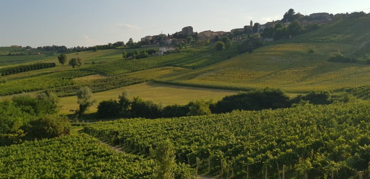 Trekking ad anello tra i boschi del Marchesato di Incisa Trekking ad anello tra i boschi del Marchesato di Incisa desktop picture