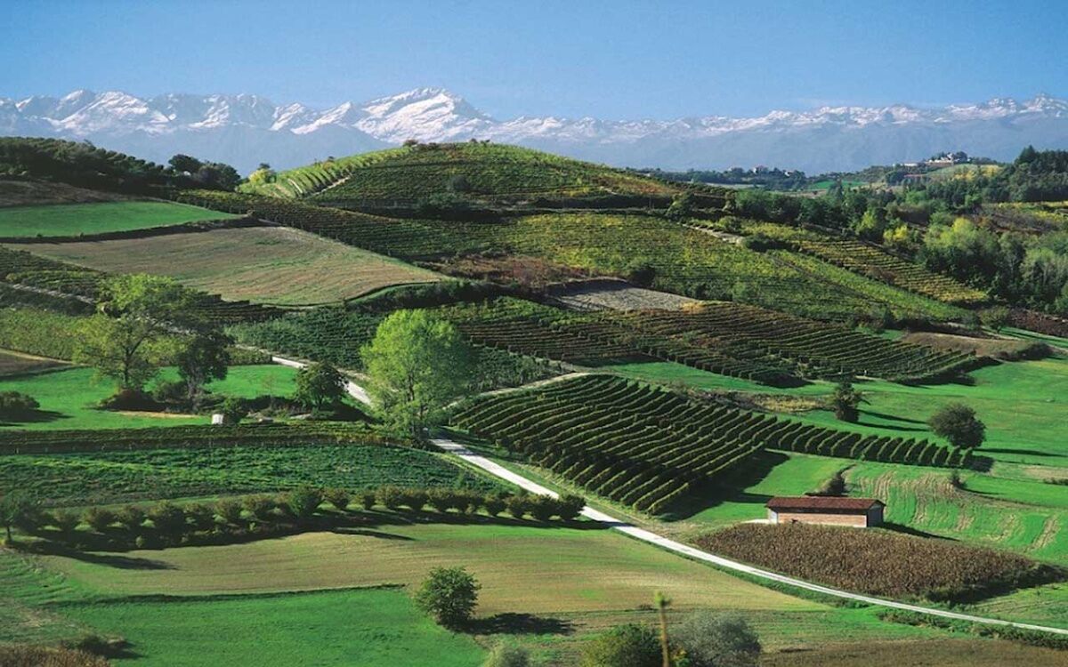 Trekking ad anello tra i boschi del Marchesato di Incisa Trekking ad anello tra i boschi del Marchesato di Incisa desktop picture