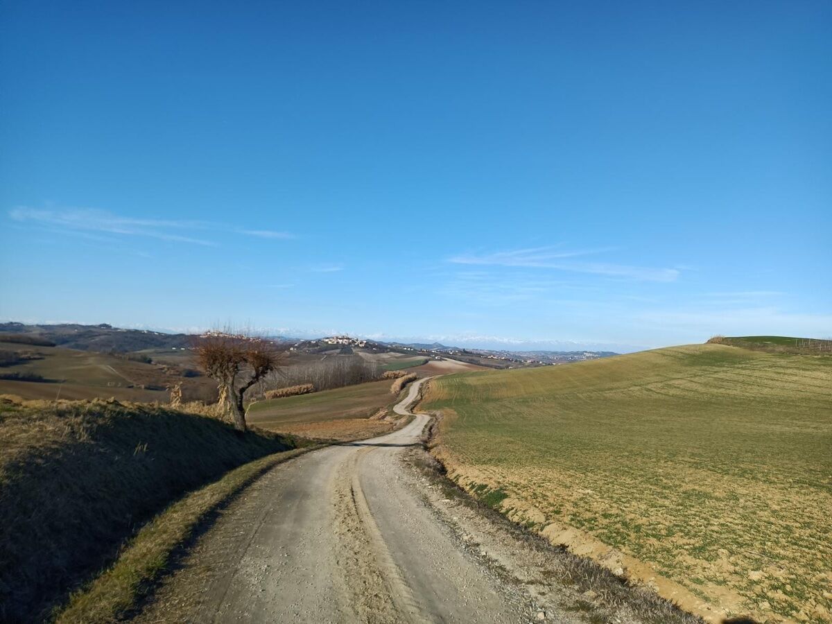 Sentiero la Grotta di Lourdes: Giro ad Anello da Casale Monferrato Sentiero la Grotta di Lourdes: Giro ad Anello da Casale Monferrato desktop picture