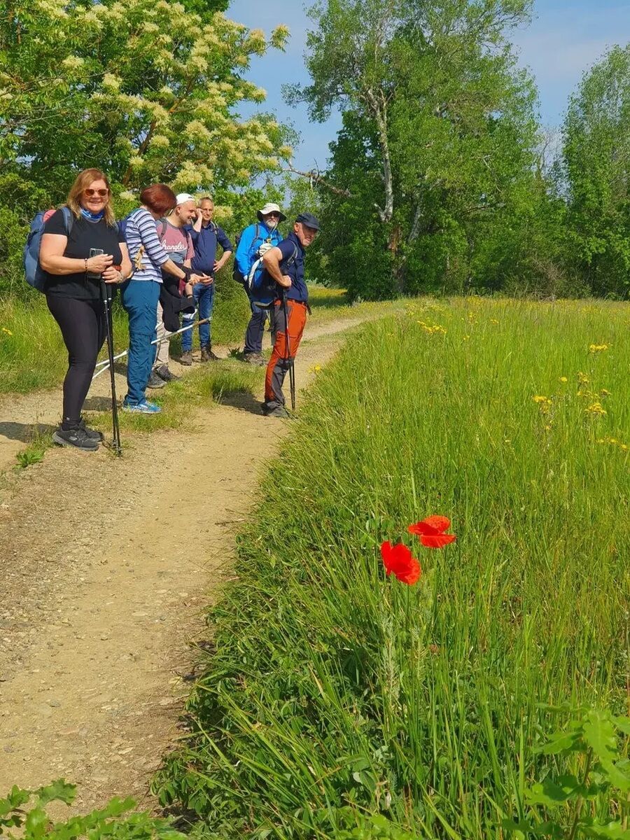 Sentiero la Grotta di Lourdes: Giro ad Anello da Casale Monferrato Sentiero la Grotta di Lourdes: Giro ad Anello da Casale Monferrato desktop picture