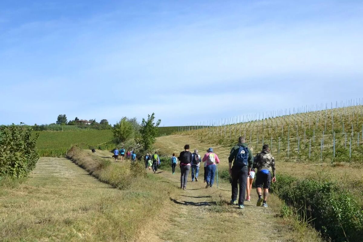 Sentiero la Grotta di Lourdes: Giro ad Anello da Casale Monferrato Sentiero la Grotta di Lourdes: Giro ad Anello da Casale Monferrato desktop picture
