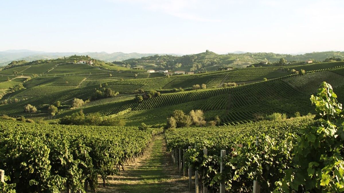 Anello di Camino: Escursione nel cuore del Monferrato Anello di Camino: Escursione nel cuore del Monferrato desktop picture