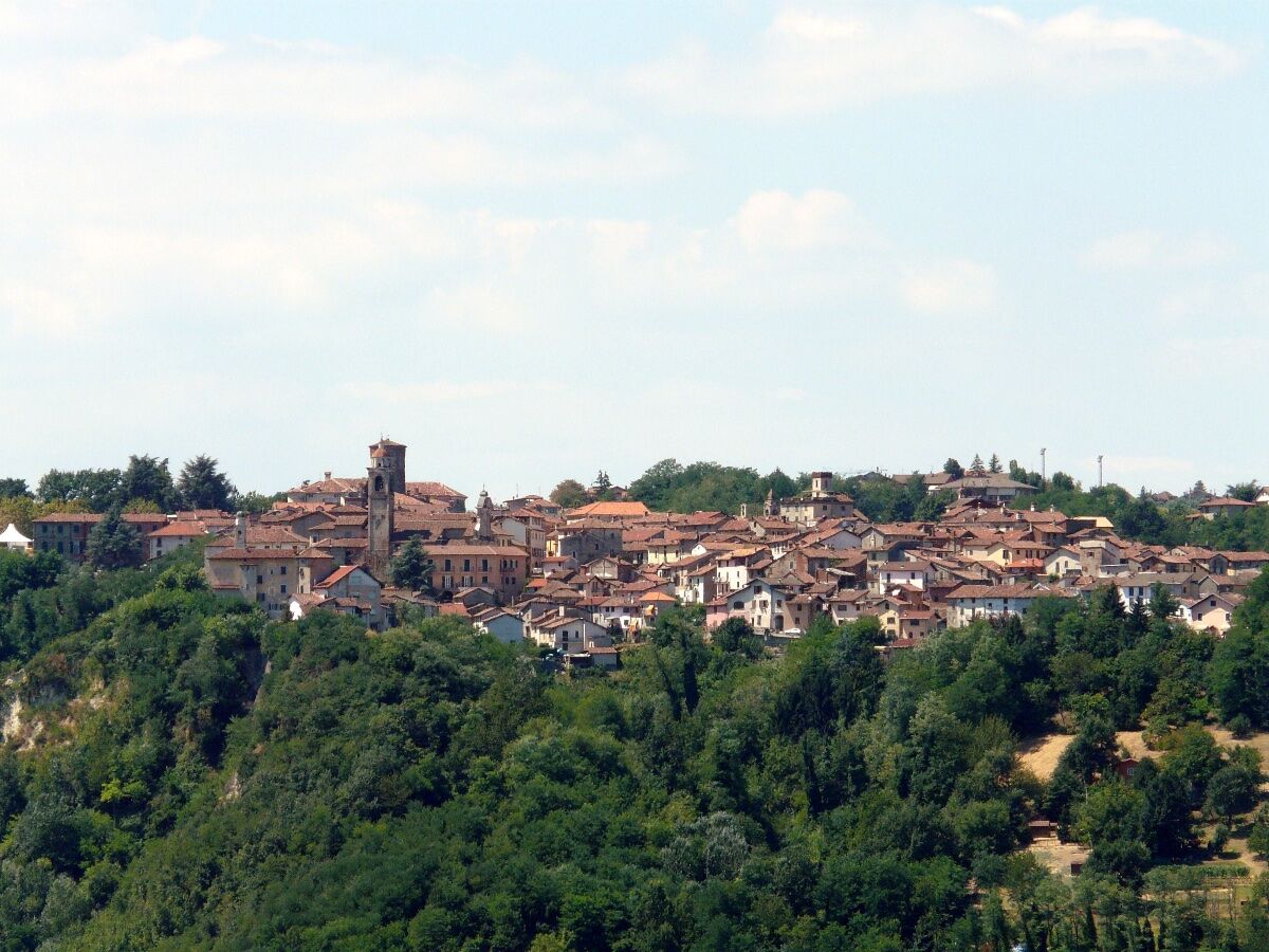 Percorso ad Anello tra i vigneti di Montebello a Rocca Grimalda desktop picture