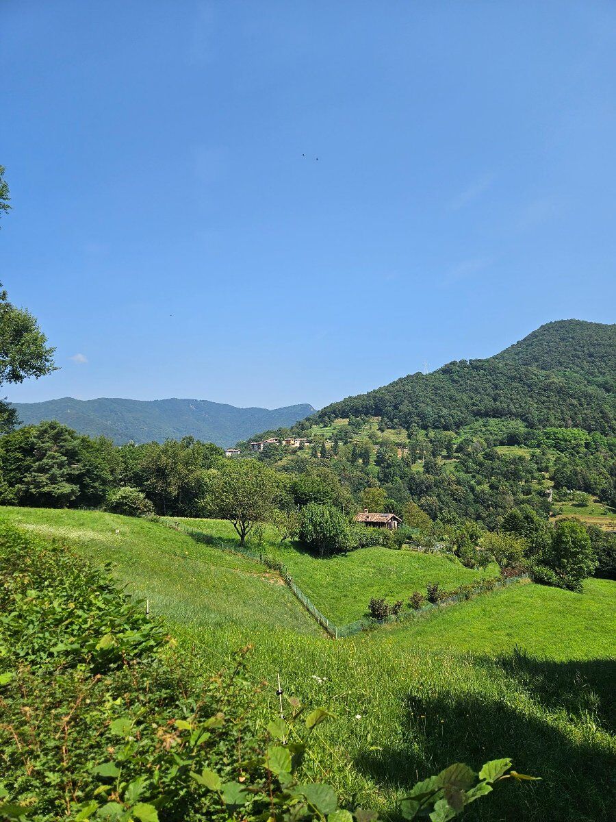 Escursione nella valle del Giongo: un tuffo nella Biodiversità Escursione nella valle del Giongo: un tuffo nella Biodiversità desktop picture