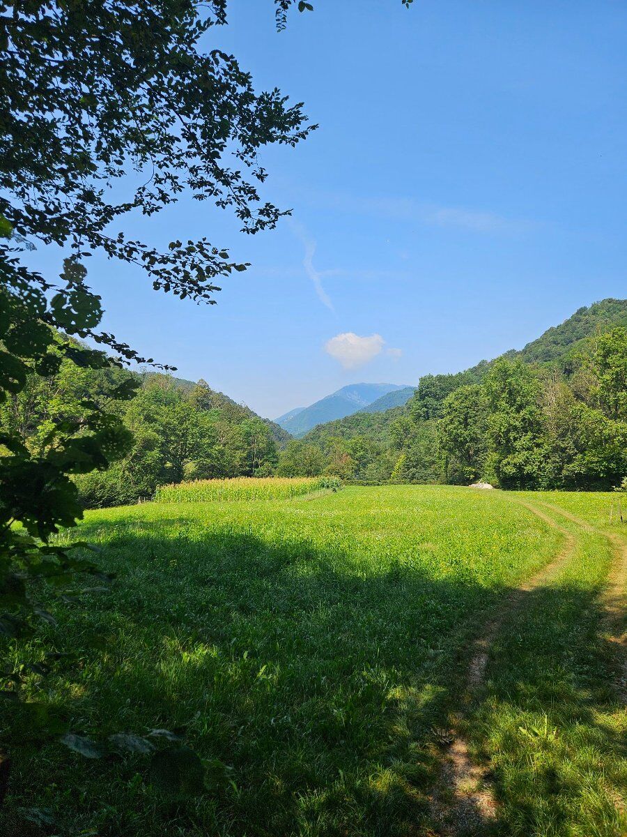 Escursione nella valle del Giongo: un tuffo nella Biodiversità Escursione nella valle del Giongo: un tuffo nella Biodiversità desktop picture