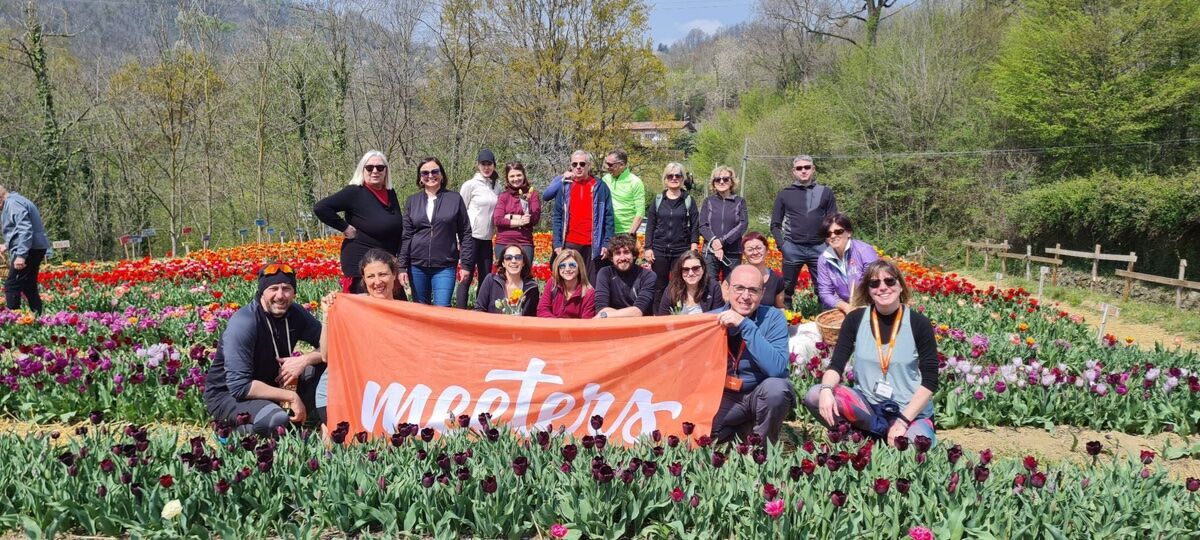 Trekking con Picnic sul Monte Canto e Raccolta di Tulipani desktop picture