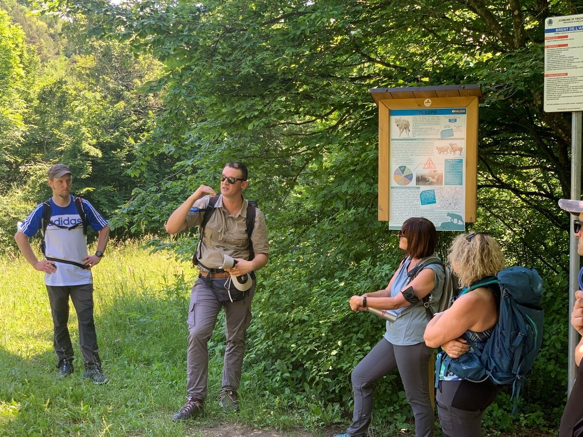 Pasquetta in Agriturismo tra le colline di Marostica Pasquetta in Agriturismo tra le colline di Marostica desktop picture