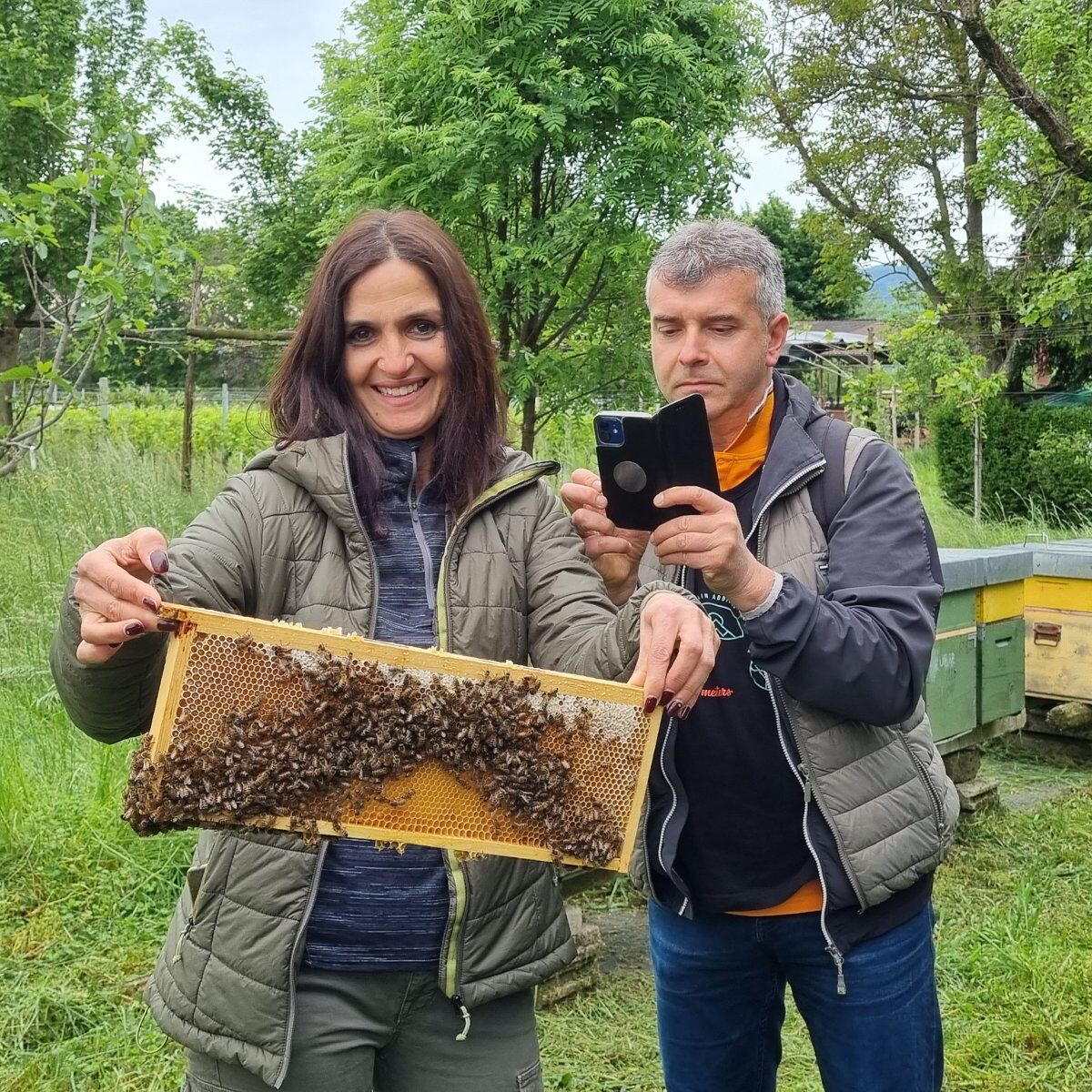 Giornata alla scoperta del Mondo delle Api con aperitivo e pranzo Giornata alla scoperta del Mondo delle Api con aperitivo e pranzo desktop picture