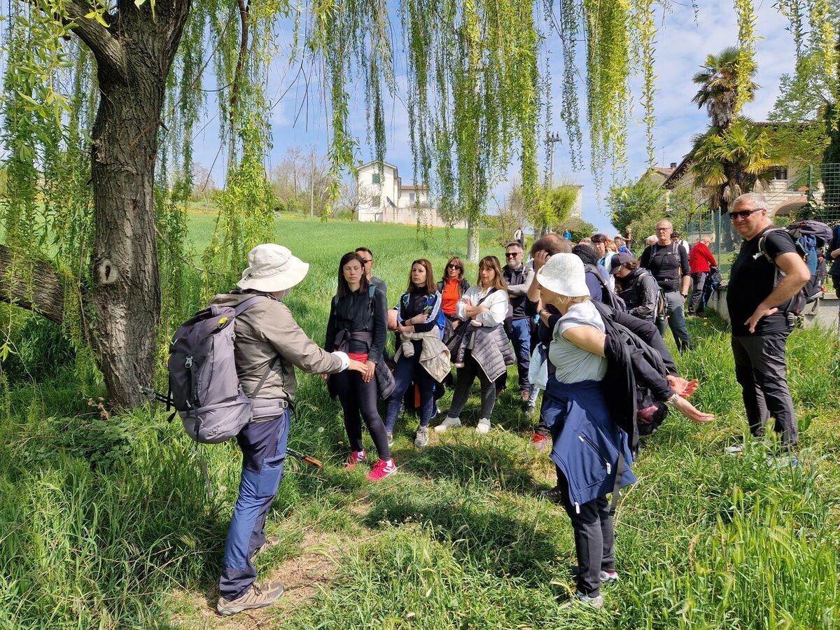 Pasquetta nel Bosco delle Sorti e della Partecipanza Pasquetta nel Bosco delle Sorti e della Partecipanza desktop picture