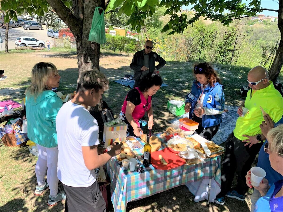 Pasquetta nel Bosco delle Sorti e della Partecipanza Pasquetta nel Bosco delle Sorti e della Partecipanza desktop picture