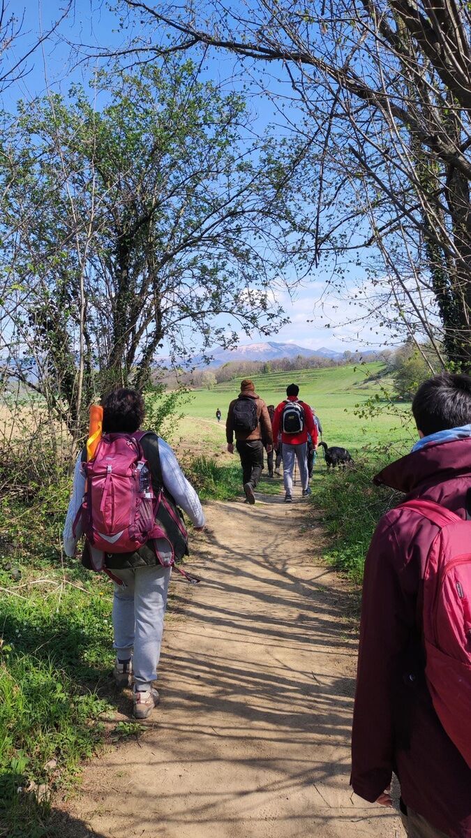Pasquetta nel Bosco delle Sorti e della Partecipanza Pasquetta nel Bosco delle Sorti e della Partecipanza desktop picture