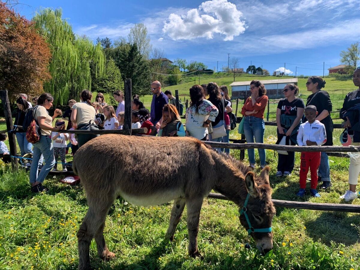 Sentiero ad anello nei dintorni del Lago Stella Sentiero ad anello nei dintorni del Lago Stella desktop picture