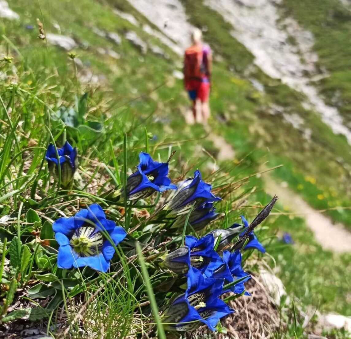 Cansiglio inedito: Pian dell’Erba, Piana di Cadolten con tappa in Malga Cansiglio inedito: Pian dell’Erba, Piana di Cadolten con tappa in Malga desktop picture